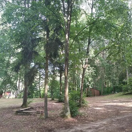 Oleandria -,,domek Jezynka