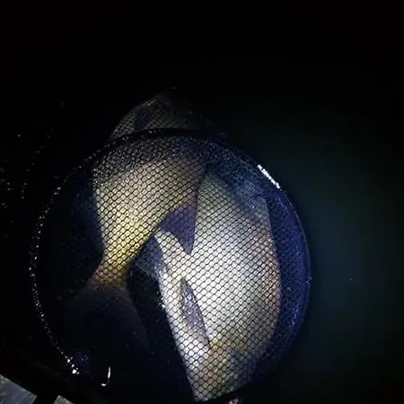 Lodge Oleandria -,,domek Jezynka