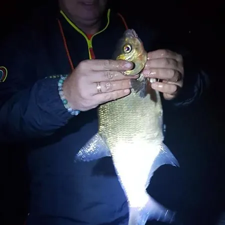 Lodge Oleandria -,,domek Jezynka