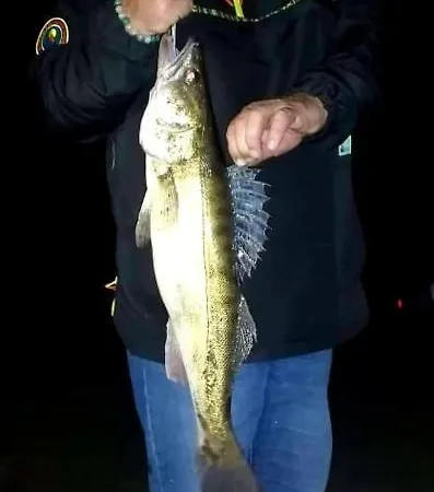 Lodge Oleandria -,,domek Jezynka