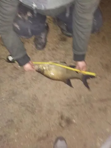 Oleandria -,,domek Jeżynka Nr 30 Domek letniskowy