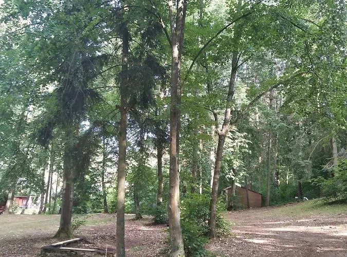 Oleandria -,,domek Jeżynka Nr 30 Biskupiec (Olsztyn)