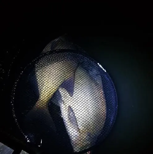 Domek letniskowy Oleandria -,,domek Jeżynka Nr 30 *